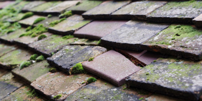 Arkesden roof repair costs